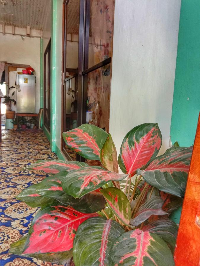 Abba Homestay General Luna  Exterior foto